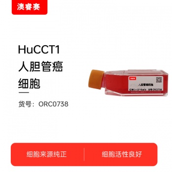 HuCCT1（人胆管癌细胞）