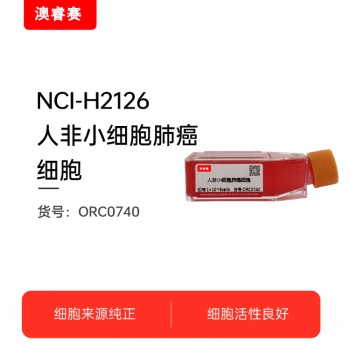 NCI-H2126（人非小细胞肺癌细胞）
