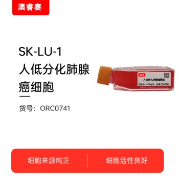 SK-LU-1（人低分化肺腺癌细胞）