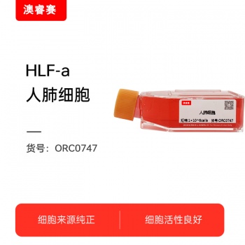 HLF-a（人肺细胞）