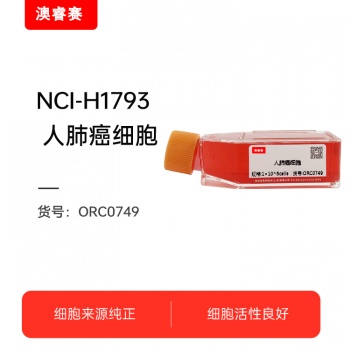 NCI-H1793（人肺癌细胞）