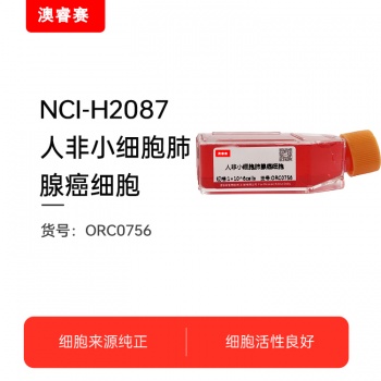 NCI-H2087（人非小细胞肺腺癌细胞）