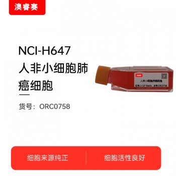 NCI-H647（人非小细胞肺癌细胞）