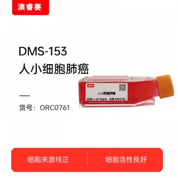 DMS-153（人小细胞肺癌）