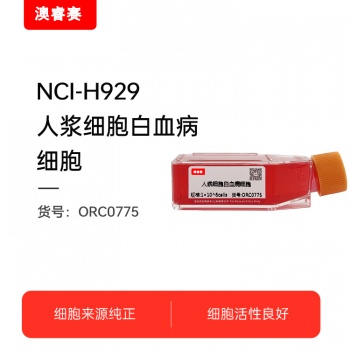 NCI-H929（人骨髓瘤细胞）