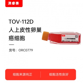 TOV-112D（人上皮性卵巢癌细胞）