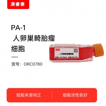 PA-1（人卵巢畸胎瘤细胞）