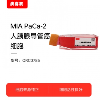 MIA PaCa-2（人胰腺导管癌细胞）