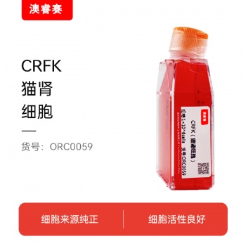 CRFK（猫肾细胞）