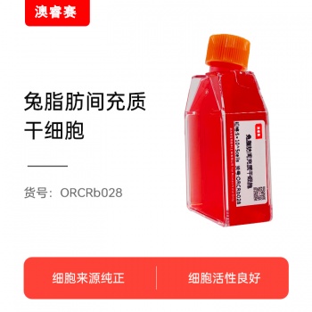 兔脂肪间充质干细胞