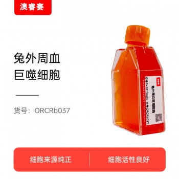 兔外周血巨噬细胞