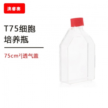 等离子处理 T75细胞培养瓶，75cm&amp;sup2;,透气盖