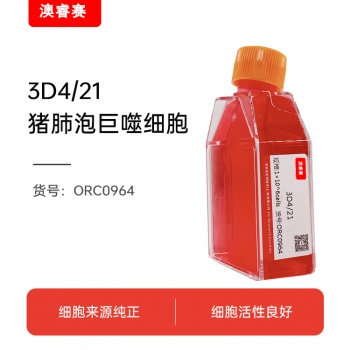 3D4/21（猪肺泡巨噬细胞）