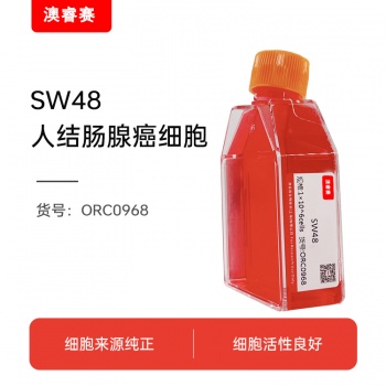 SW48（人结肠腺癌细胞）