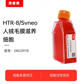 HTR-8/Svneo（人绒毛膜滋养细胞）