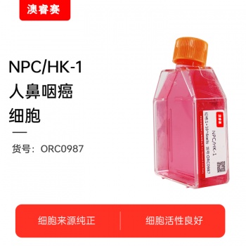 NPC/HK-1（人鼻咽癌细胞）