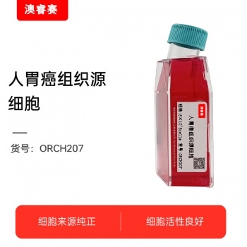 人胃癌组织源细胞