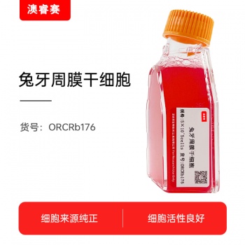 兔牙周膜干细胞