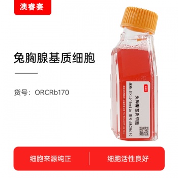 兔胸腺基质细胞