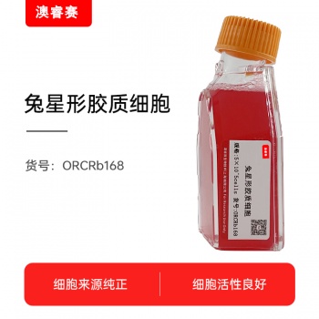 兔星形胶质细胞