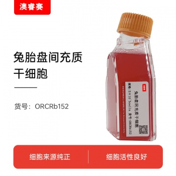 兔胎盘间充质干细胞