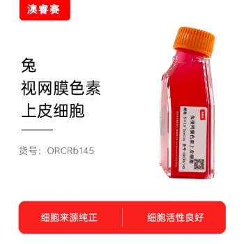 兔视网膜色素上皮细胞