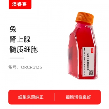 兔肾上腺髓质细胞