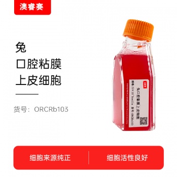 兔口腔黏膜上皮细胞