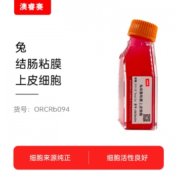 兔结肠粘膜上皮细胞