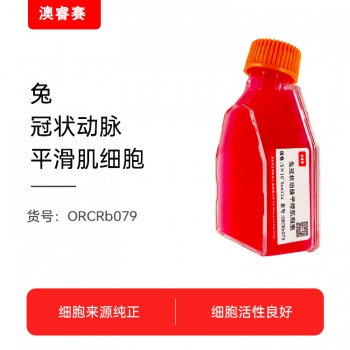 兔冠状动脉平滑肌细胞