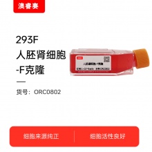293F（人胚肾细胞-F克隆）