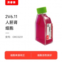 2V6.11（人胚肾细胞）