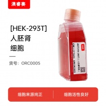 293T（人胚肾细胞）