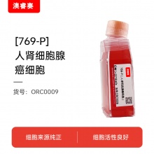 769-P（人肾细胞腺癌细胞）
