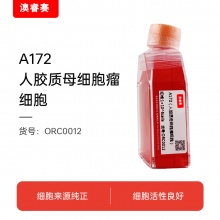 A172（人胶质母细胞瘤细胞）
