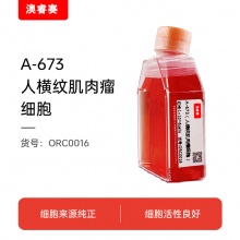 A-673（人横纹肌肉瘤细胞）