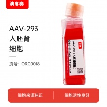 AAV-293（人胚肾细胞）