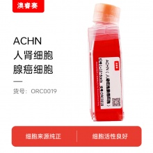 ACHN（人肾细胞腺癌细胞）