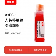 AsPC-1（人转移胰腺腺癌细胞）