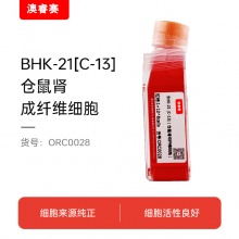 BHK-21 [C-13]（仓鼠肾成纤维细胞）