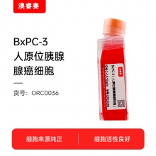 BxPC-3（人原位胰腺腺癌细胞）