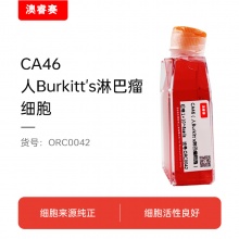 CA46（人Burkitt's淋巴瘤细胞）