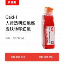 Caki-1（人肾透明细胞癌皮肤转移细胞）