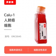 Calu-1（人肺癌细胞）