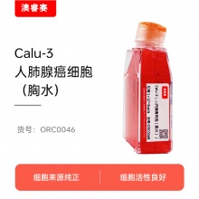 Calu-3（人肺腺癌细胞（胸水））