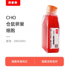 CHO（仓鼠卵巢细胞）