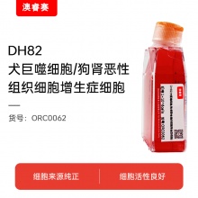 DH82（犬巨噬细胞/狗肾恶性组织细胞增生症细胞）