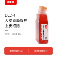 DLD-1（人结直肠腺癌上皮细胞）