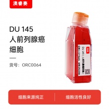 DU 145（人前列腺癌细胞）