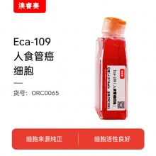Eca-109（人食管癌细胞）